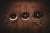 SBZ1 1.webp