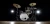 111.webp