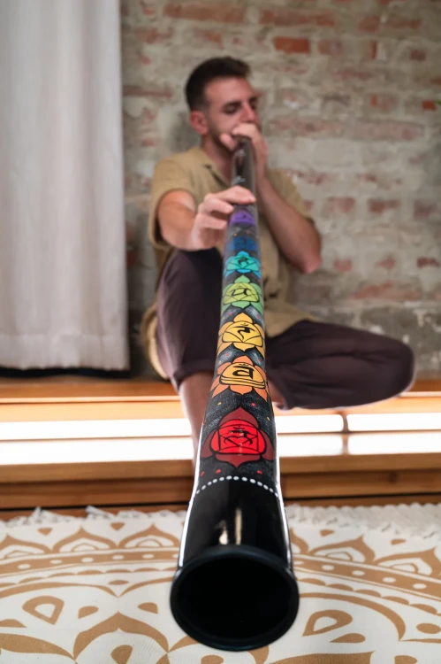 meinl-sonic-energy-chakra-didgeridoo
